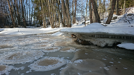 Mynämäen Laajoki